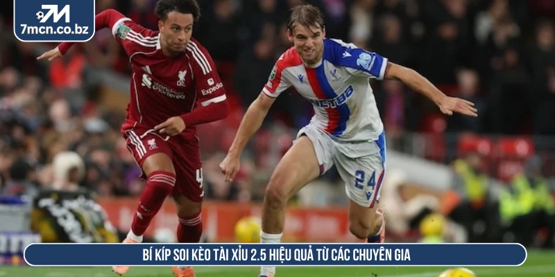 Cách Chơi Kèo Tài Xỉu 2.5 Với Kinh Nghiệm Cá Cược Tuyệt Đỉnh 3 Bí kíp soi kèo tài xỉu 2.5 hiệu quả từ các chuyên gia