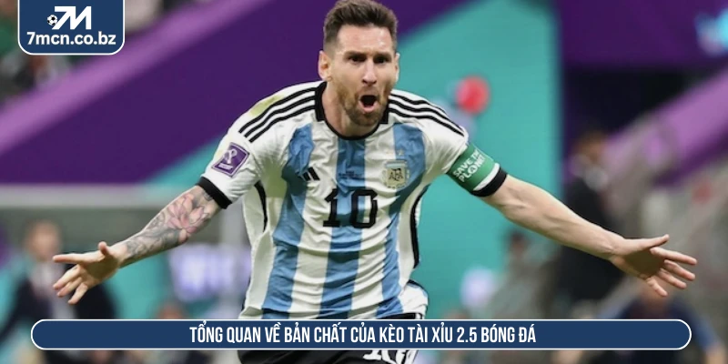 Cách Chơi Kèo Tài Xỉu 2.5 Với Kinh Nghiệm Cá Cược Tuyệt Đỉnh 1 Tổng quan về bản chất của kèo tài xỉu 2.5 bóng đá